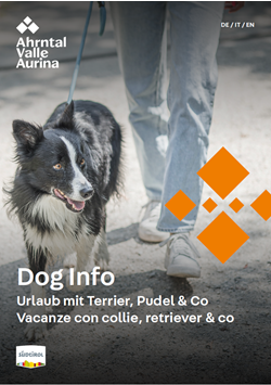 dog-info