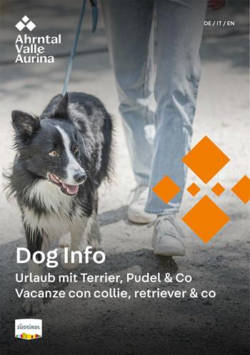 dog-info-11-2024-1