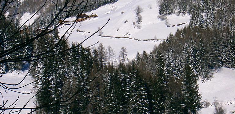 Oberlinderhof